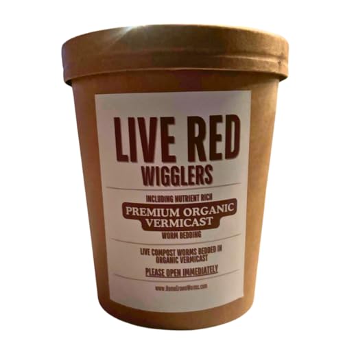 500 (1/2lb+) Red Wigglers Live Worms for Composting and Garden - Earth Worms - Live Delivery! Worm Castings - Worm Farm for Kids & Worm Castings