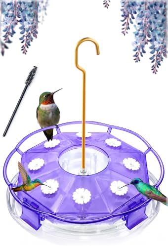 eWonLife 2 Pack 16 oz Saucer Hummingbird Feeders for Outdoors, Garden Decor