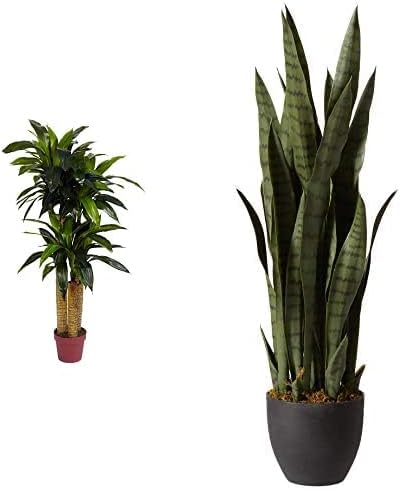 Nearly Natural 35in. Sansevieria with Black Planter and 4ft. Corn Stalk Dracaena Silk Plant (Real Touch), Green