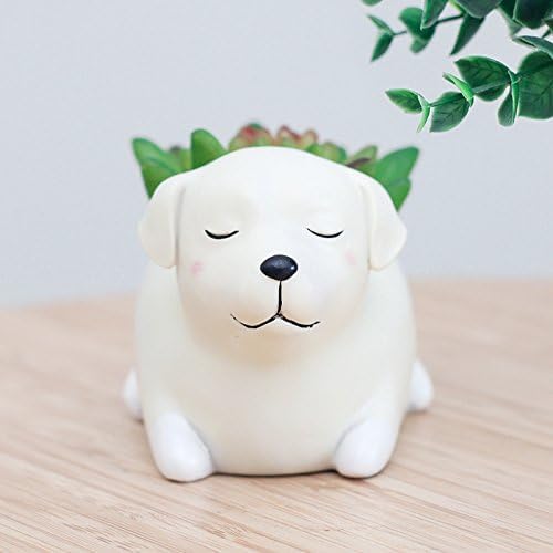 Labrador Dog Succulent Planter Pots for Office House Balcony Landscape Creative Decorative Flower Pots (Labrador Dog)