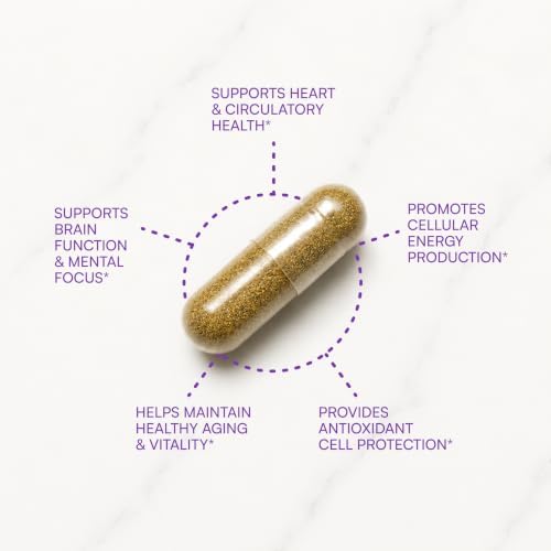 Purity Products CoQ10 Daily Super Boost with Ginkgo and Resveratrol from Supports Healthy Energy Levels and Healthy Brain Function - 60 Vegetarian