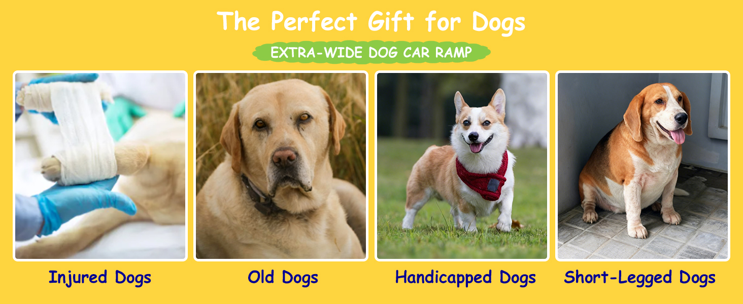 oldable Dog Ramp