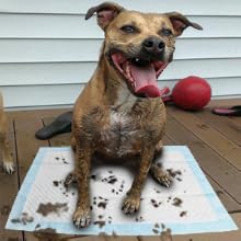 mud