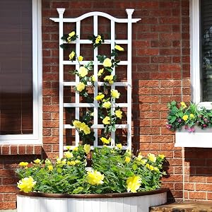 London Trellis