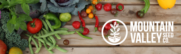 mountain valley seed company organic non gmo seeds