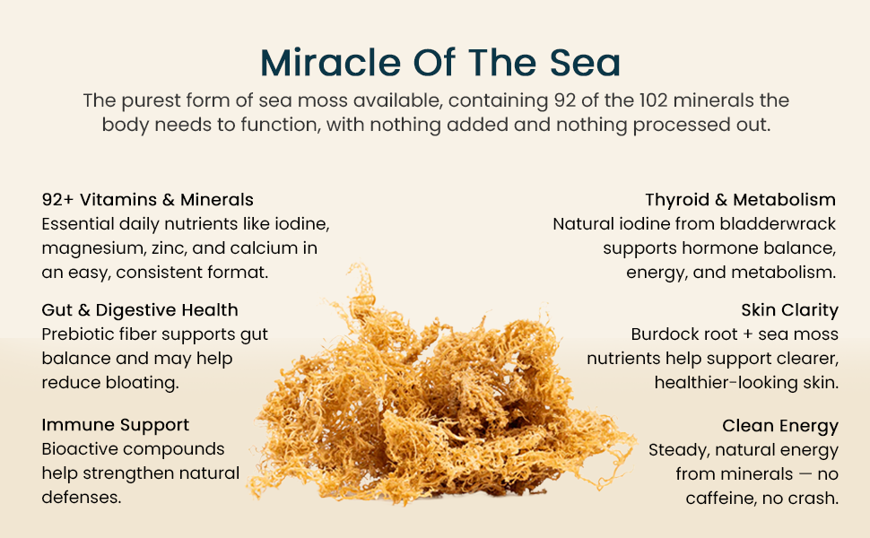 Organics Nature - Adaptogenic Wellness