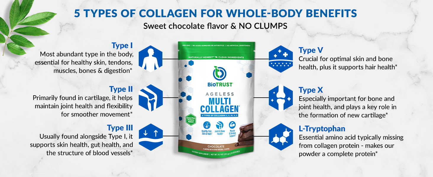 5 types of collagen for whole body benefits, like support for hair, skin, tendons, muscles, and more
