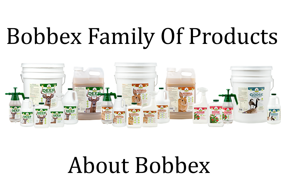 Bobbex Family of Products