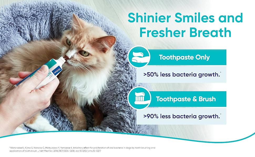 Fresher Breath