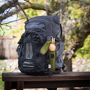 ChicoBag ToGoWare Clip On Backpack