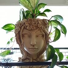 head planter