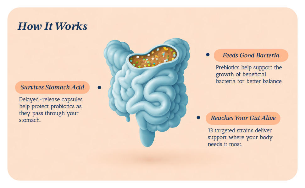 Delayed Release Capsules Survive Stomach Acid Intestinal Support
