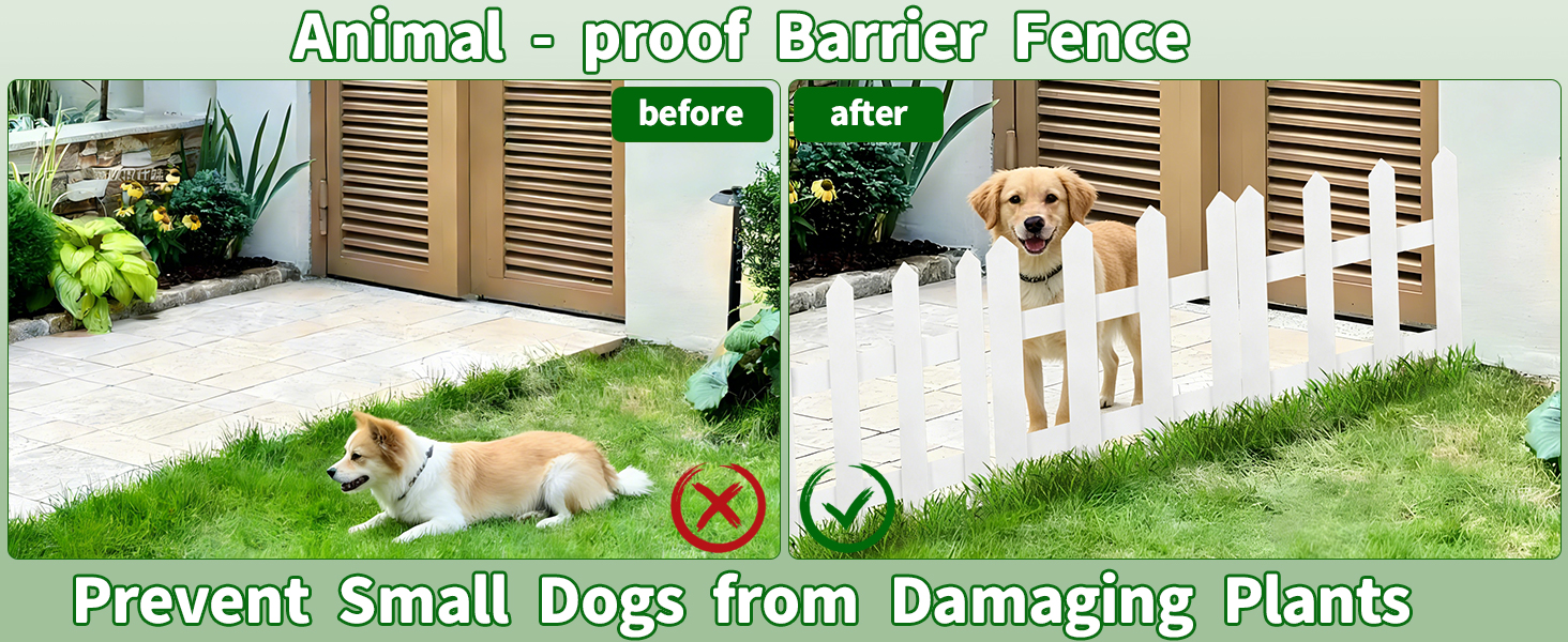 Wooden Picket Fence