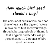 How much bird seed should I buy FAQ