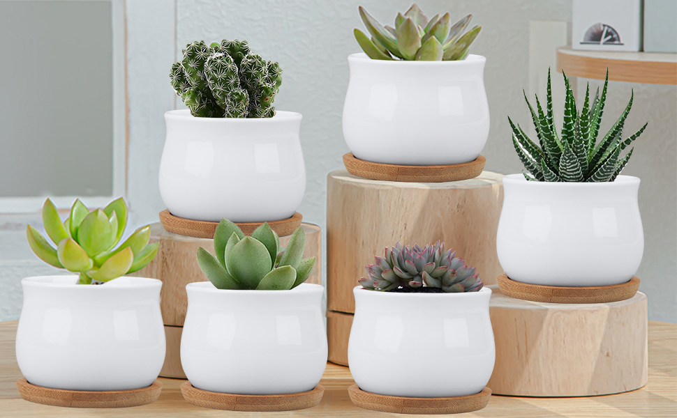 pots