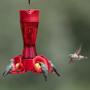 red hummingbird feeder, hummingbird feeder, glass feeder, bee guards, ant moat