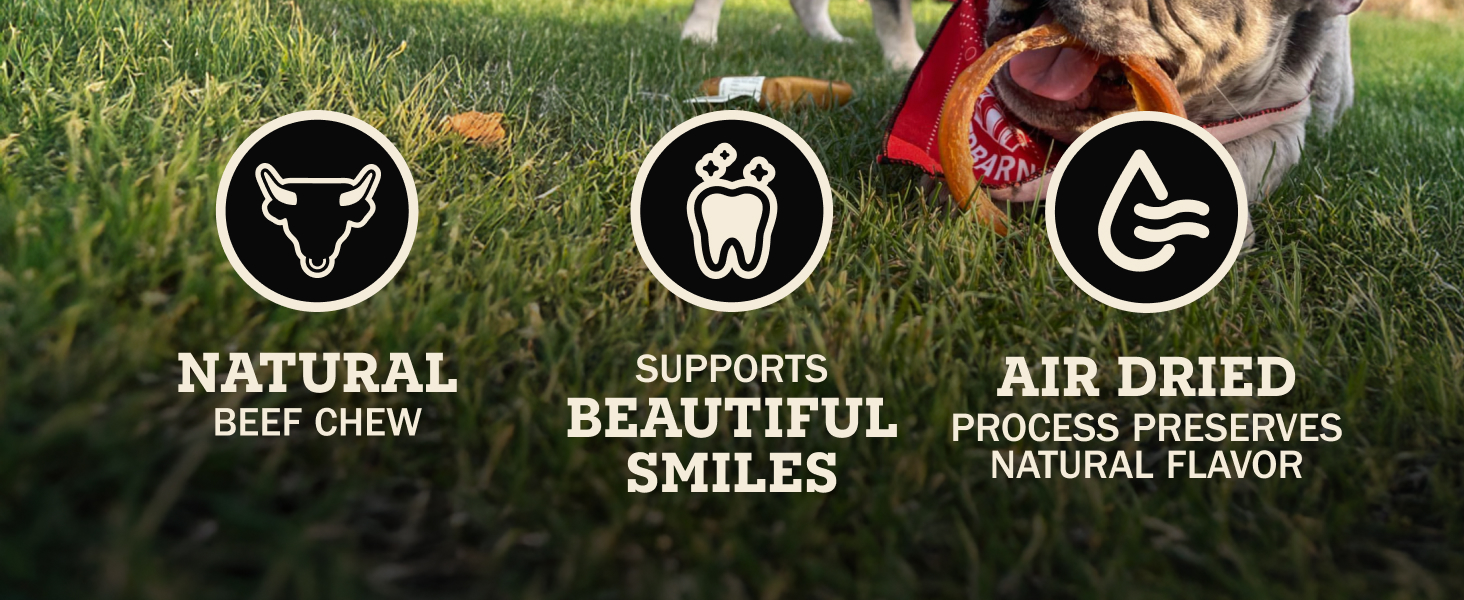 A natural beef dog chew that supports dental health with no artificial presevatives and fillers