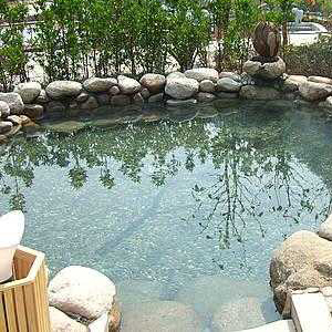pond filter