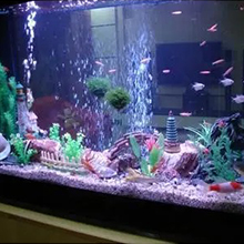 Fish tank