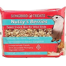 Nutty's Berries Seedcake