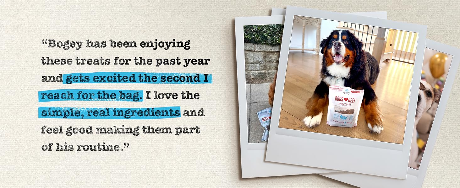 bogy lives dogs love