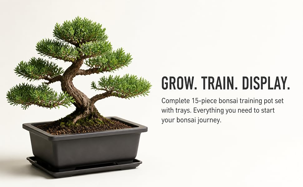 Bonsai Training Pots with Trays