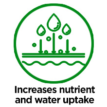 soil nutrition liquid lawn fertilizer lawns root stimulator plants organic trees compost junk dirt