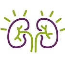 kidneys, kidney health, kidney support
