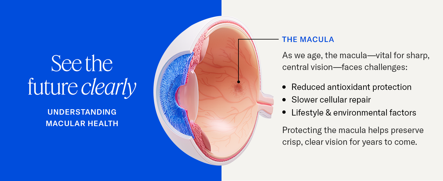As we age, protecting the macula - vital for central vision - helps preserve vision.