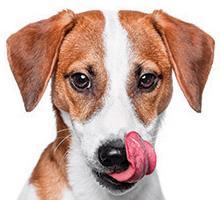 aplus content image