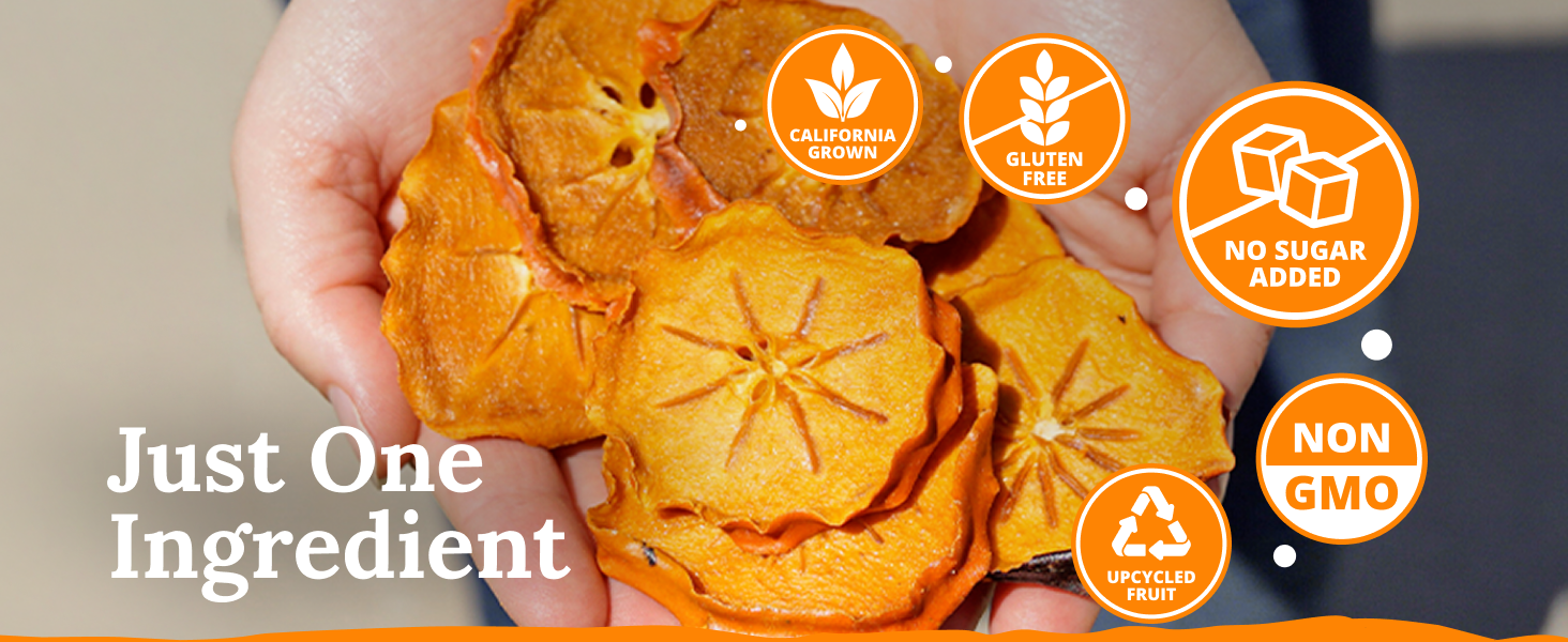 Just One Ingredient