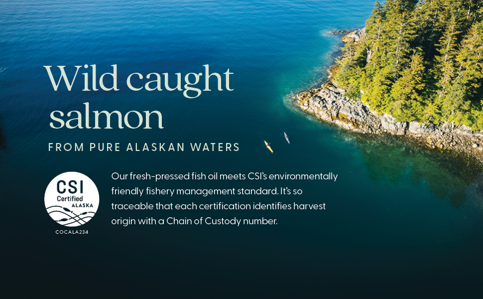 wild caught salmon