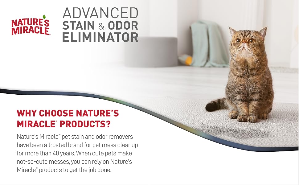 Advance stain and odor eliminator