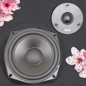 Woofer Tweeter bookshelf speakers hifi listening audio home theater