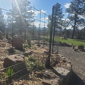 Field behind welded wire.