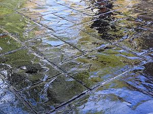 foundation armor high gloss stamped concrete