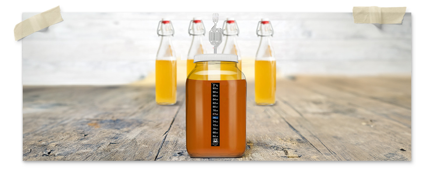 bubbles washer brine limoncello made vase twin liner growler ounce fido balls homemade grains kefir