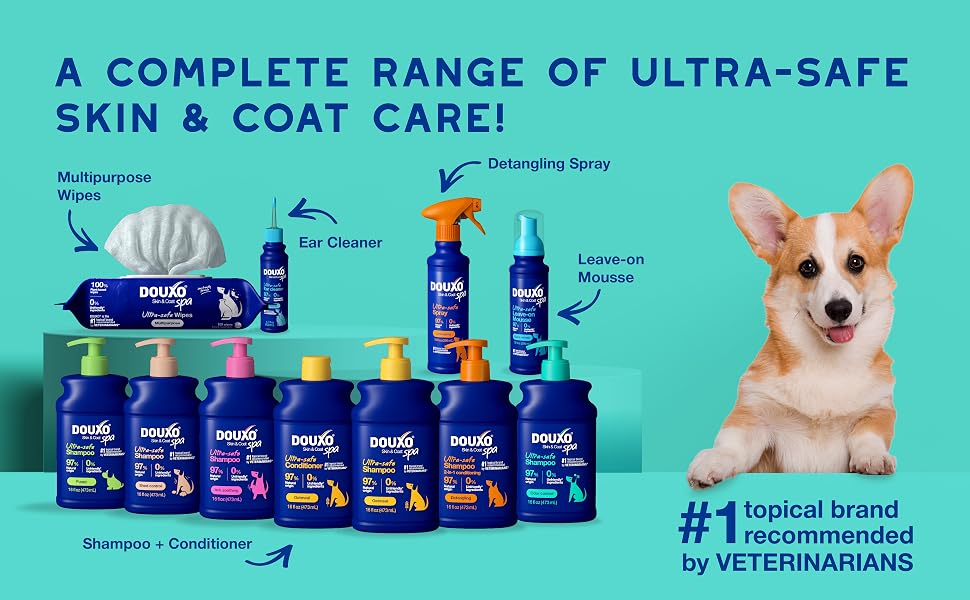 corgi next to douxo spa product line up