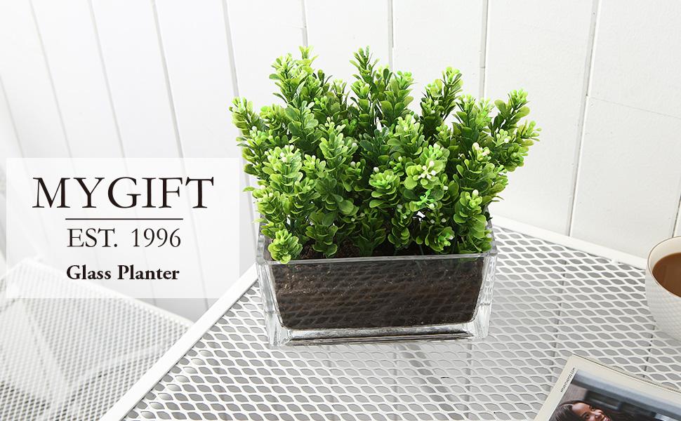 Modern Rectangular Glass Vase, Trough Planter, Tabletop Glass Terrarium