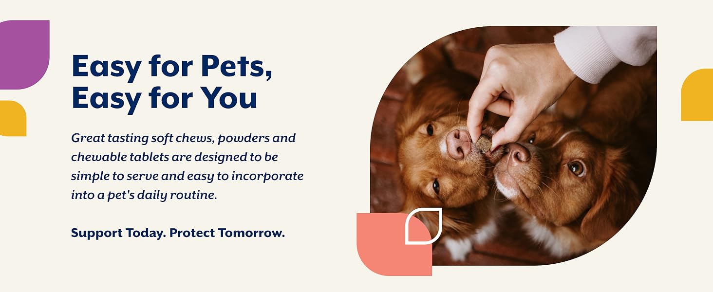 Pet Probiotics