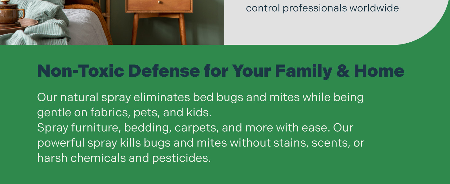 Bed Bug