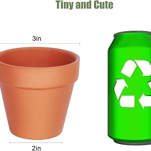 plant pot