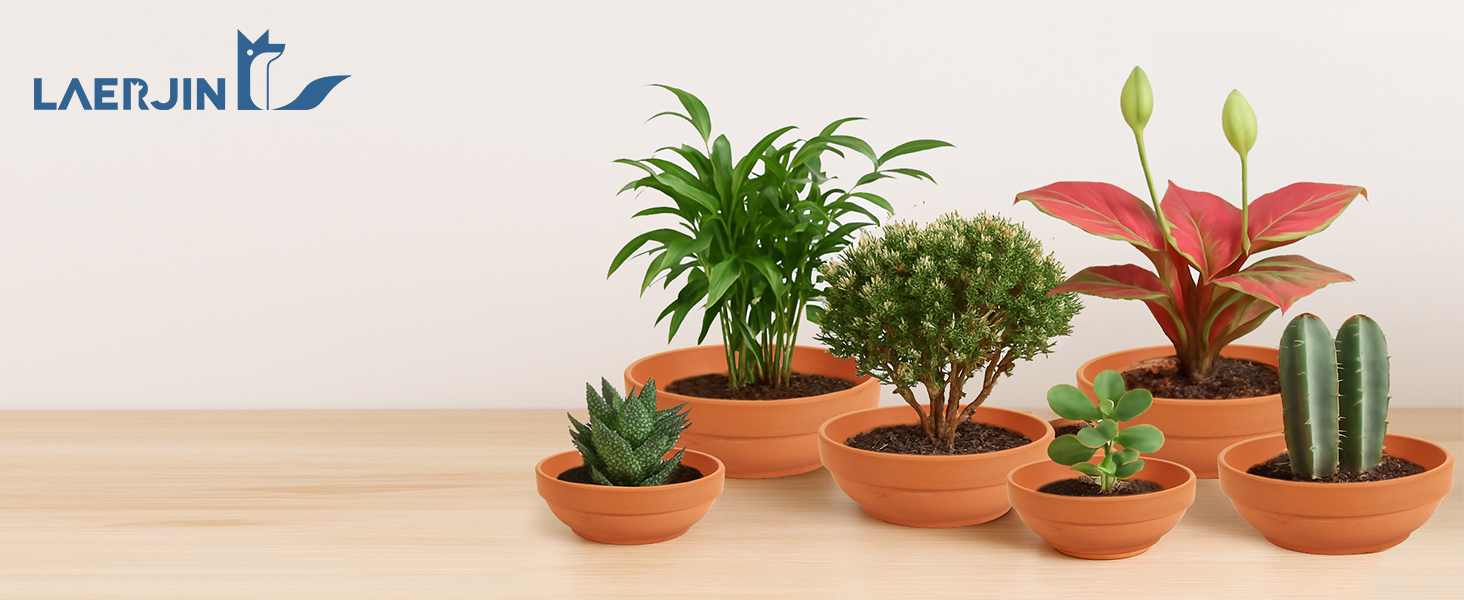 terracotta pots