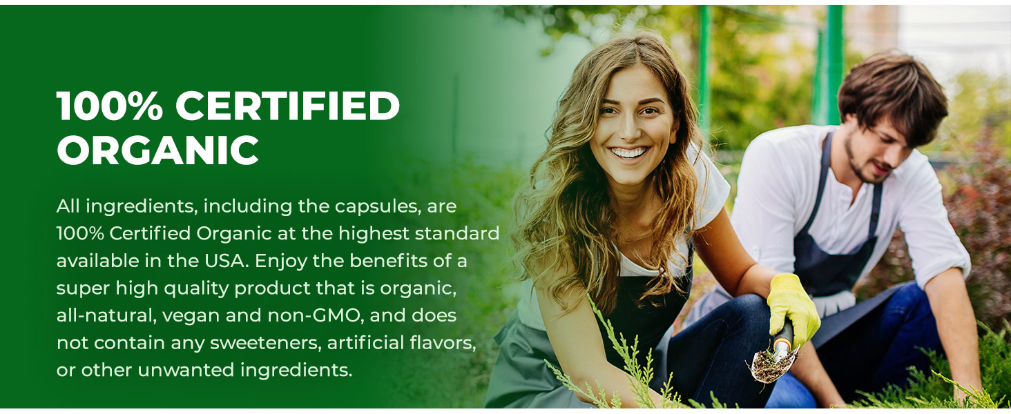 zazzee organic spirulina espirulina organica pura zazzee spirulina powder zazzee hawaiian spirulina