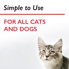 dog ear wipes
