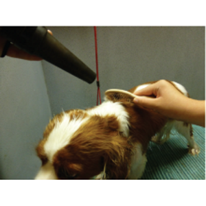 How to Use - Bathing