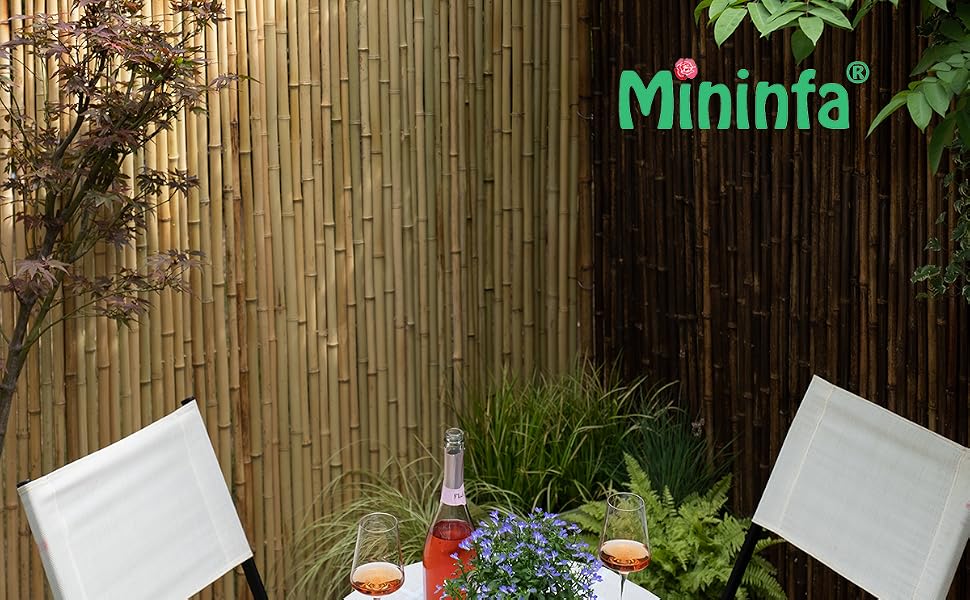 bamboo fence