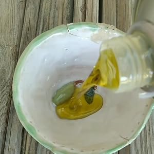 HOLIVE extra virgin olive oil from Israel