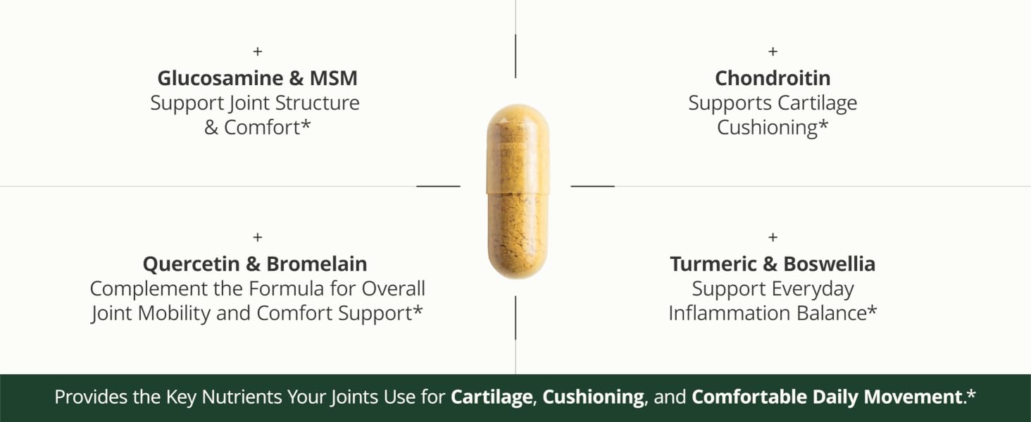 glucosamine chondroitin triple strength, joint strength, cartilage support, bone health, mobility