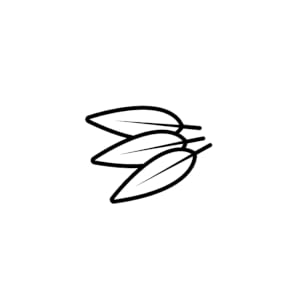 Sage